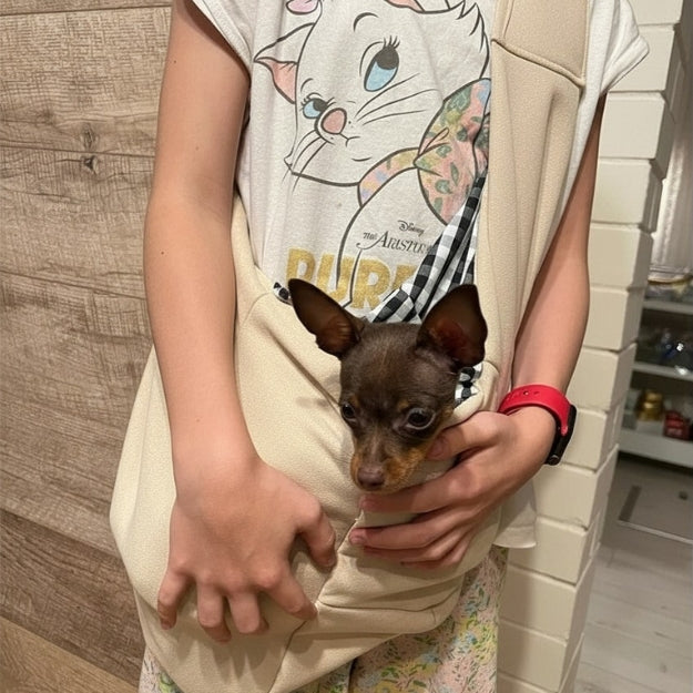 sac de transport pour chien beige à l'intérieur