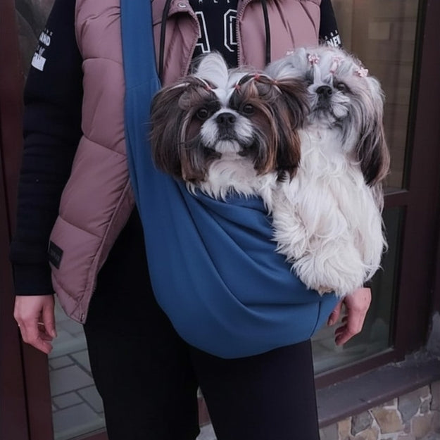 sac de transport pour chien bleu en ville