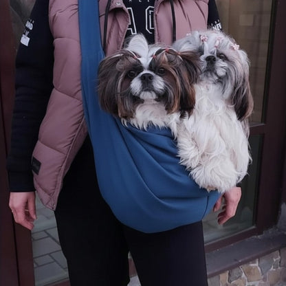 sac de transport pour chien bleu en ville