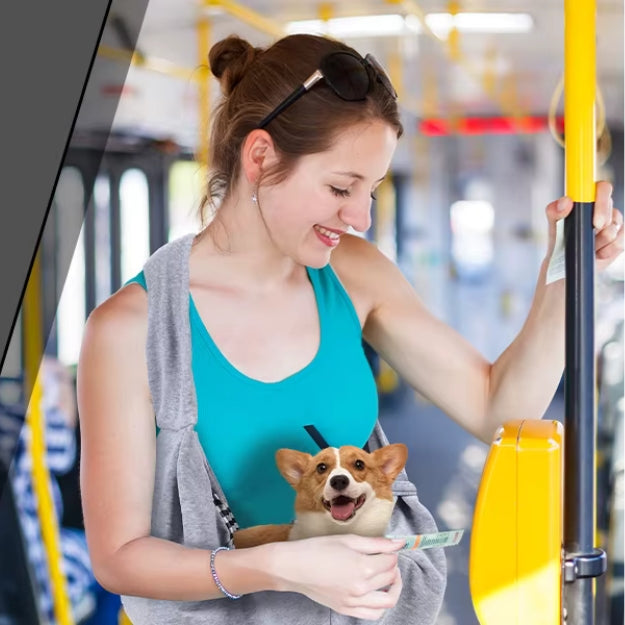 sac de transport pour chien dans les transports