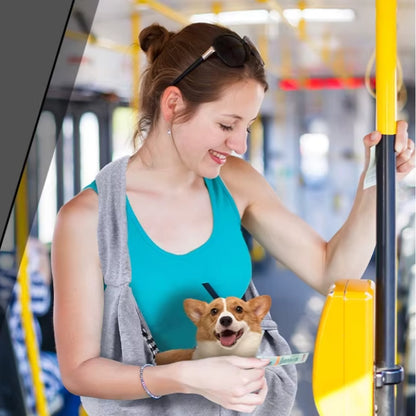 sac de transport pour chien dans les transports