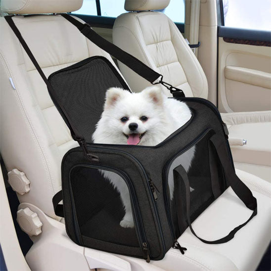 petit chien blanc sort la tête de son sac de transport noir en voiture