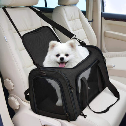 petit chien blanc sort la tête de son sac de transport noir en voiture