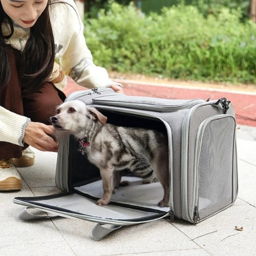 jeune femme sort son chien de son sac de transport gris