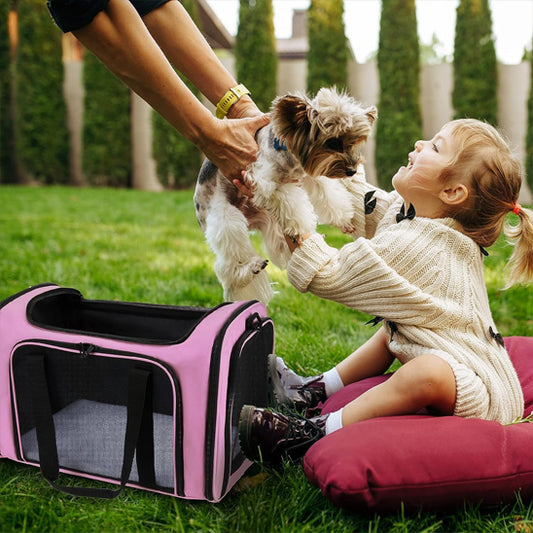 petite fille donne son chien pour le placer dans son sac de transport rose