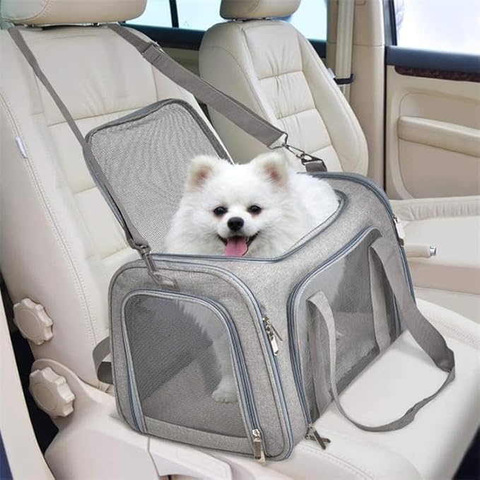 petit chien blanc sort la tête de son sac de transport gris en voiture