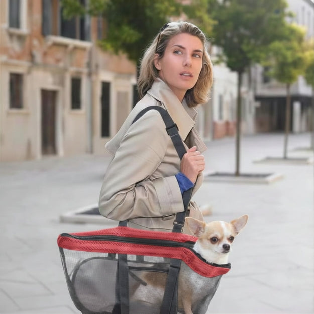 sac de transport pour chien balade en ville