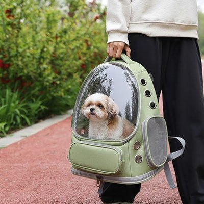 Sac transport chien promenade