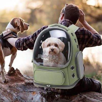 Sac transport chien randonnée