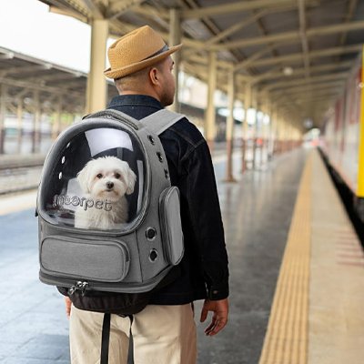 Sac transport chien voyage