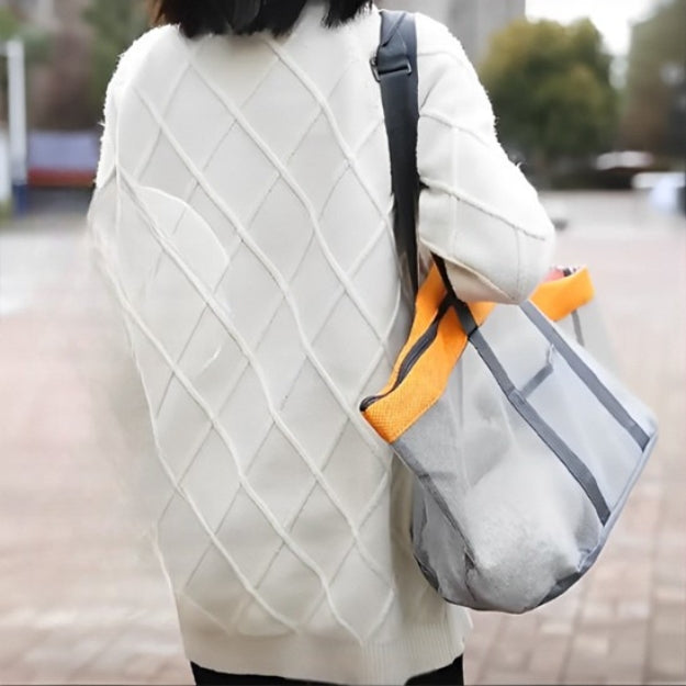 sac de transport pour chien en ville