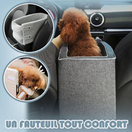 siege-auto-pour-chien-tout-confort