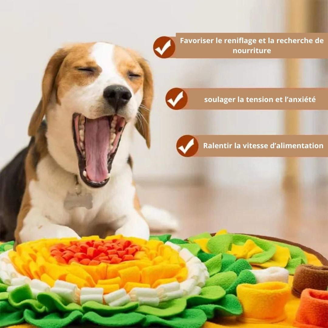 Tapis de fouille chien | Sensiflor™ - Je Promène Mon Chien