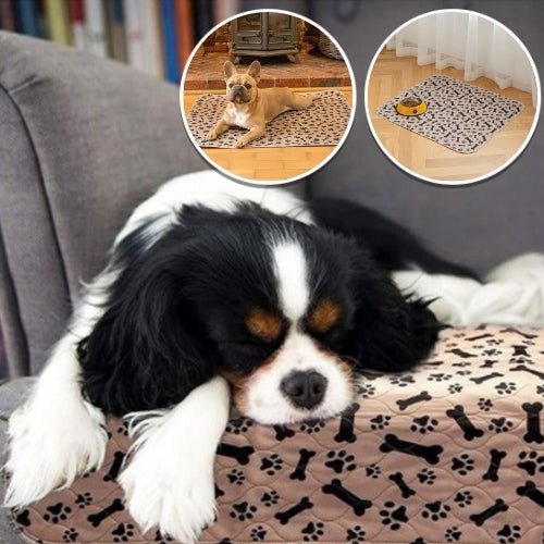 Tapis pour chien | Luckyabsorb™ - Je Promène Mon Chien