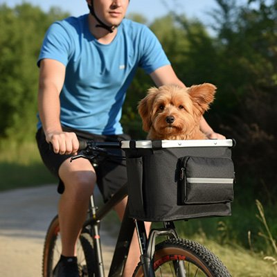 Vélo panier chien promenade
