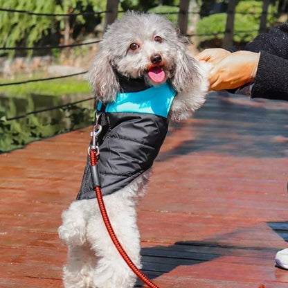 PawStyle, le vêtement chien avec du caractère