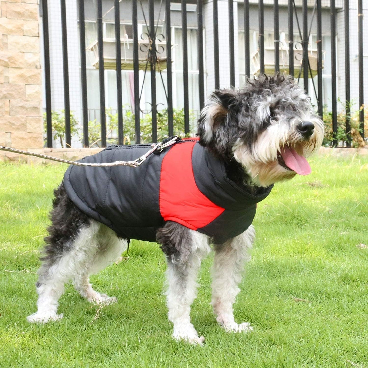 Le vêtement chien PawStyle est pratique pour l'extérieur