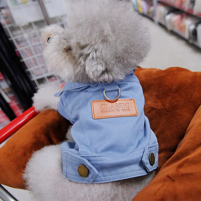 Au supermarché avec le vêtement chien Denim Elégance