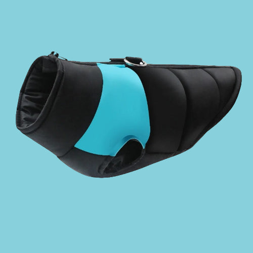 vetement chien pawstyle variante bleue