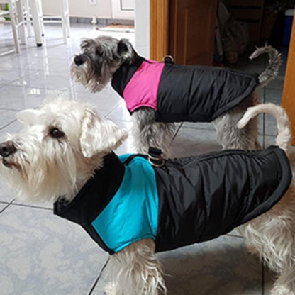 le vêtement chien Pawstyle coordonné au style de vos chiens