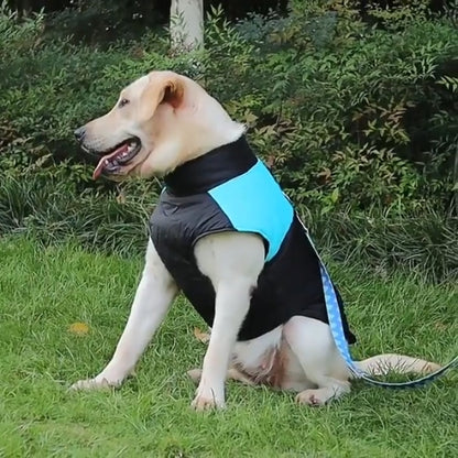 Le vêtement chien PawStyle est seyant