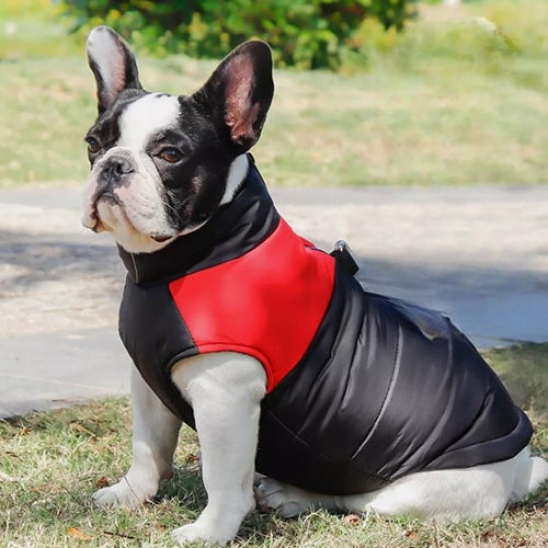 Le vêtement chien PawStyle rouge protège bien votre chien