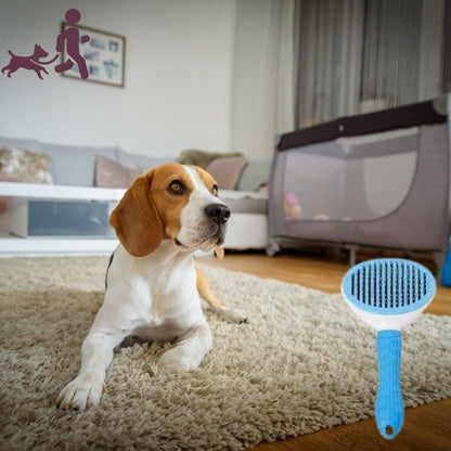 Brosse pour chien | FrizouFrizy™ - Je Promène Mon Chien