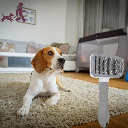 Brosse pour chien | FrizouFrizy™ - Je Promène Mon Chien
