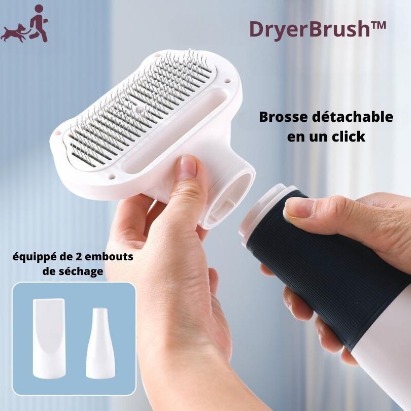 brosse-pour-chien- dryerbrush-5