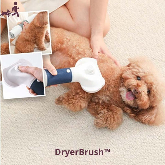 Brosse pour chien | DryerBrush™ - Je Promène Mon Chien