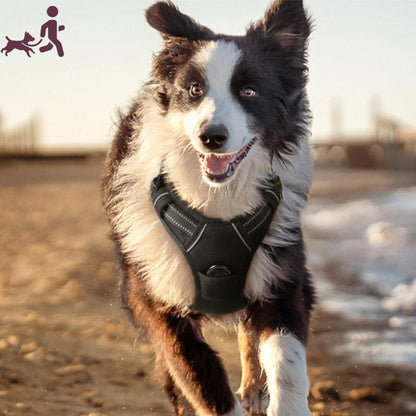 HARNAIS CHIEN ANTI TRACTION | SAFEWALK™ - Je Promène Mon Chien