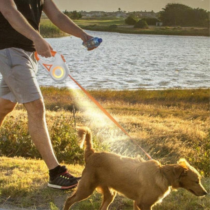 laisse-pour-chien-laisséclaire-1