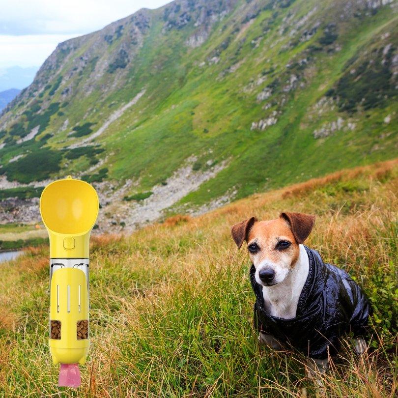 gourde-pour-chien-superbottle-jaune