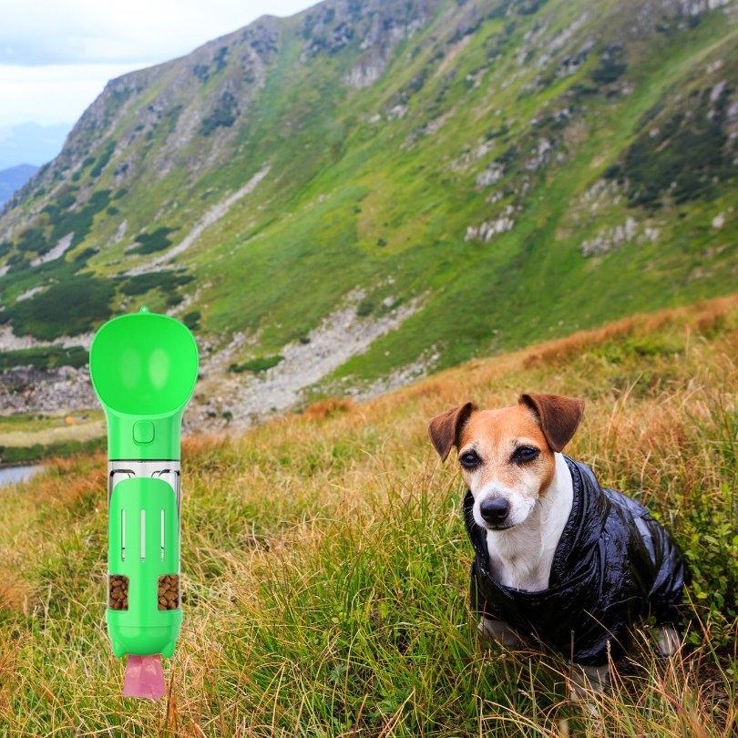 gourde-pour-chien-superbottle-vert